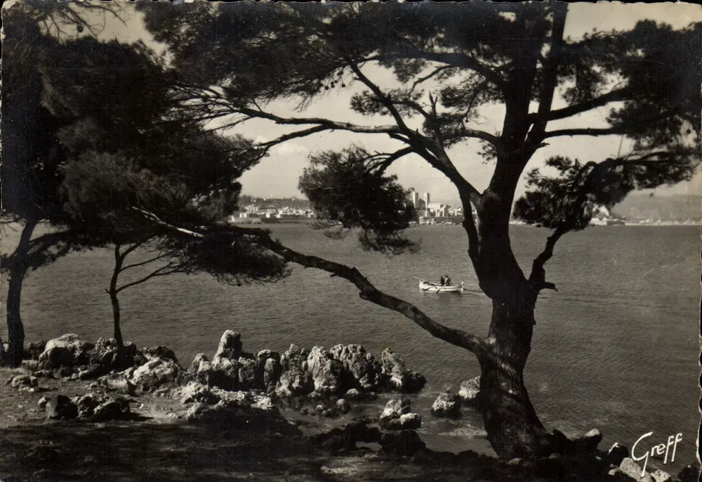 Kiefern und Felsen am Cap — Antibes (Alpes-Maritimes) — Edition Greff - Vorderseite