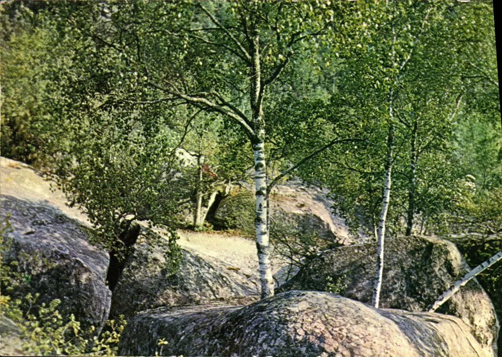 Fontainebleau — Bos van Fontainebleau — Uitgever: Made in France - Voorkant