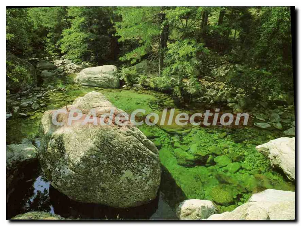 Bach im Wald — Restonica — CPAdeCollection - Vorderseite