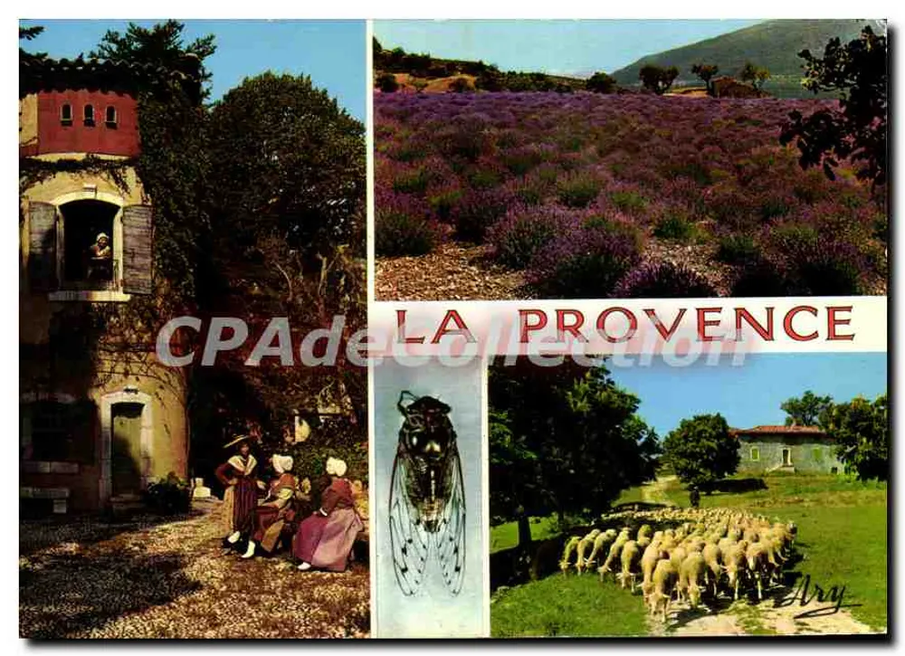 La Provence — Lavendellandschaft, Dorf, Zikade und Schafherde — Edition Tardy - Vorderseite