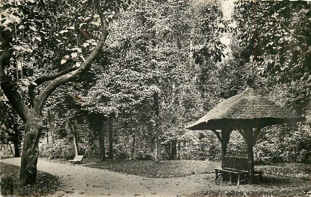 Jardín de Cannes — Vista de un kiosco con techo de paja y un camino bordeado de árboles — Ediciones Dreyfus, n°9024 - Anverso