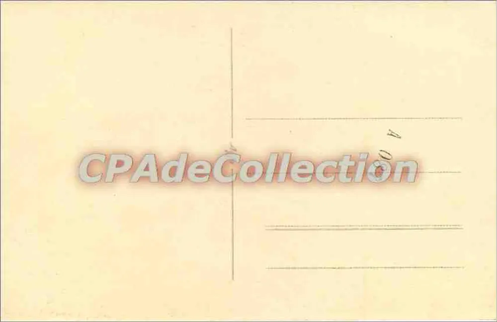 Magnólia em flor — vista de jardim — CPAdeCollection - Verso