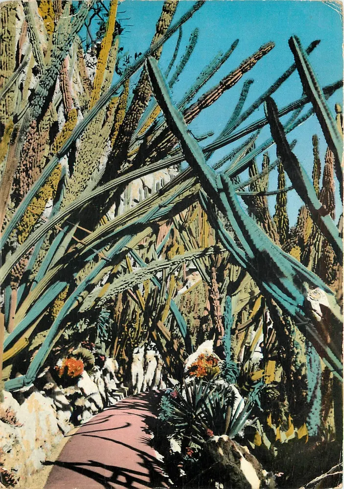 Exotischer Garten. Vision von Andromeda — Der exotische Garten von Monaco — Editions S.E.T. T. 33, Piscobella - Vorderseite