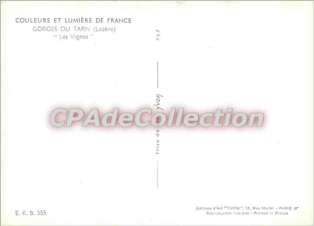 Thung lũng Tarn — Những vườn nho — Nhà xuất bản Nghệ thuật YVON - Mặt sau