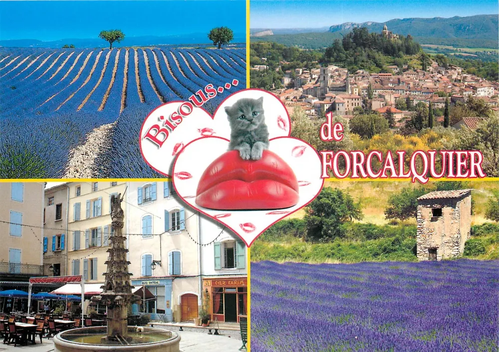 Lavanda i wieś Forcalquier — kartka pocztowa z kotem i pocałunkami — wydawca PEC, nr 04300 - Awers