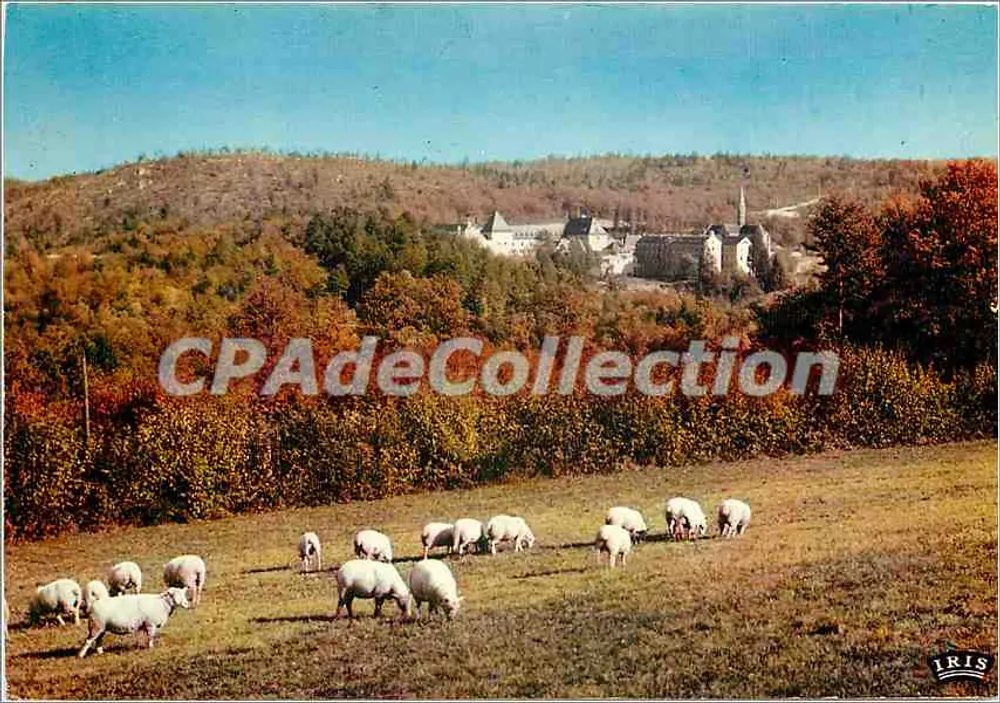 Abbaye de la Pierre qui Vire — vue générale (côté Sud) — éditeur LUMICAP, n° (71) visible - Vorderseite