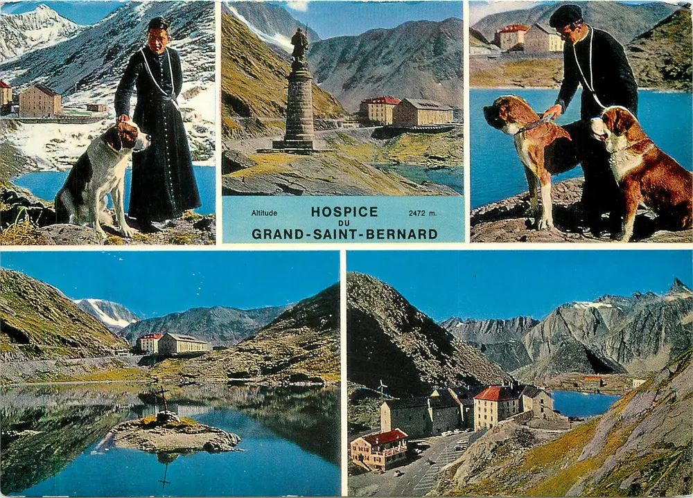 Hospice du Grand-Saint-Bernard — vue panoramique avec statue, bâtiments et chiens de montagne — Édition 15124 - Anverso
