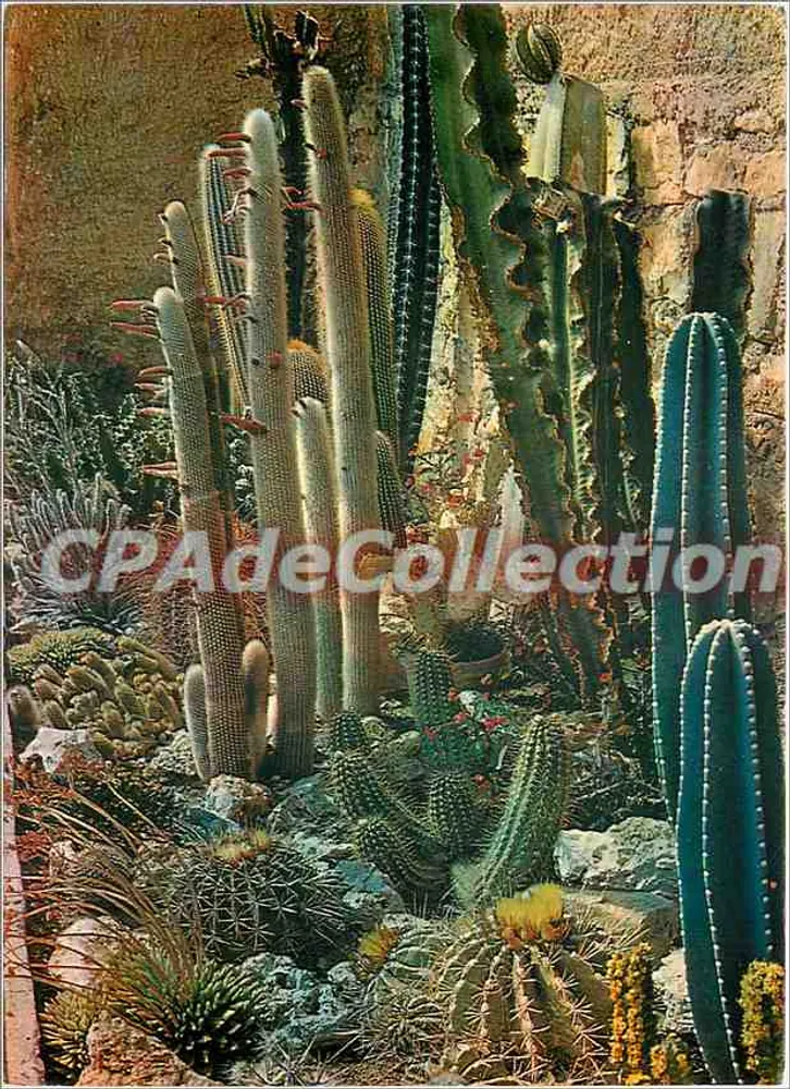 Exotischer Garten von Sanary — Bandol — Les Éditions Sina - Vorderseite
