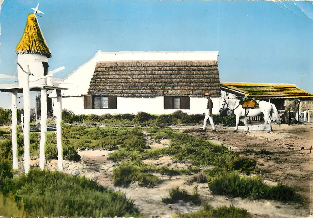 Camargue (B. du R.) — Domaine de Gardians — Éditions S.L. n° (60) - Recto