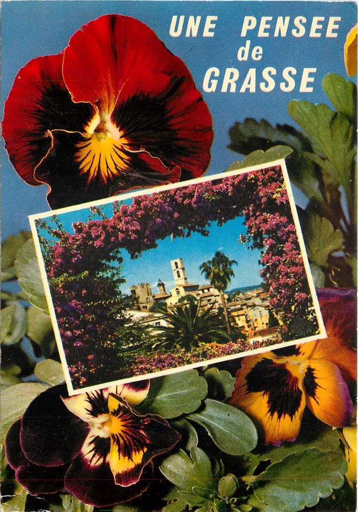 Grasse — vista da cidade cercada por flores — Edições MAJ de Cimiez, n° 107 - Frente