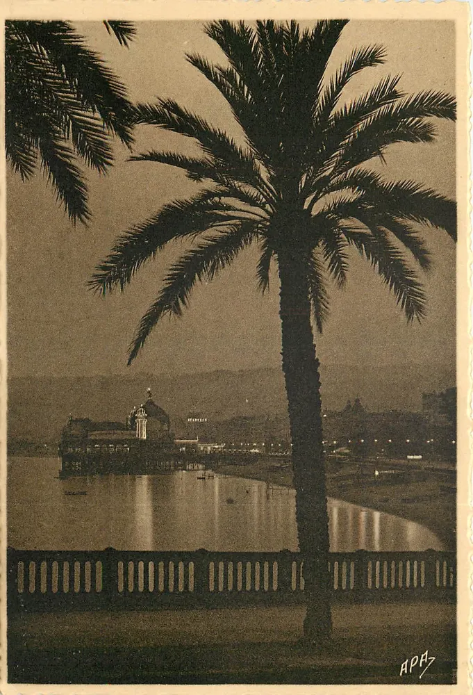 Nizza — La Notte, Lungomare degli Stati Uniti — Le Cartes APA - ALBI - Recto