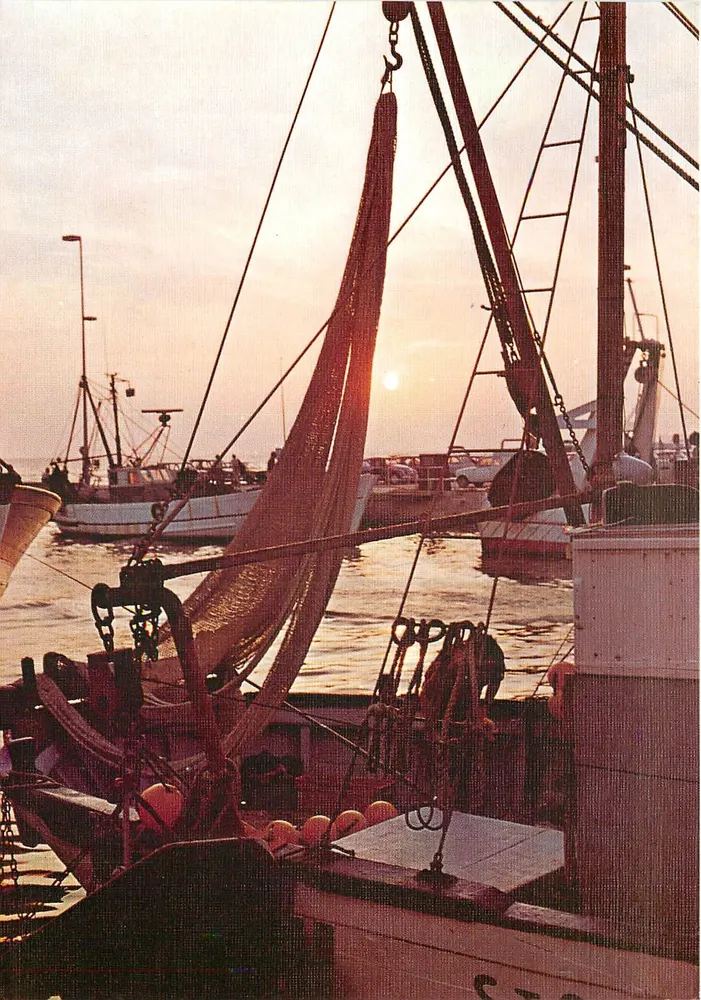 Barcos de pesca ao pôr do sol — Edições 'S'LY — Villeurbanns - Frente