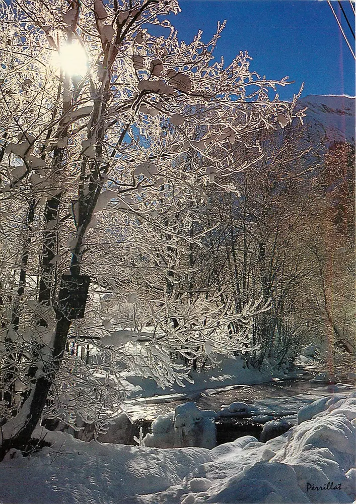 Frimas na borda do torrente — paisagem invernal nevada — Périllat - Frente