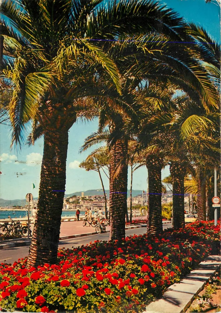 Cannes - Promenade des Anglais — palme e fiori — IRIS - Recto