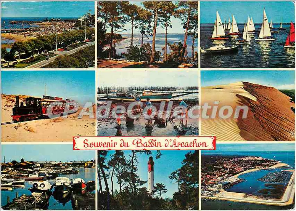 Bassin d'Arcachon — Lembrete do Bassin d'Arcachon — editor desconhecido, n° 219 - Frente