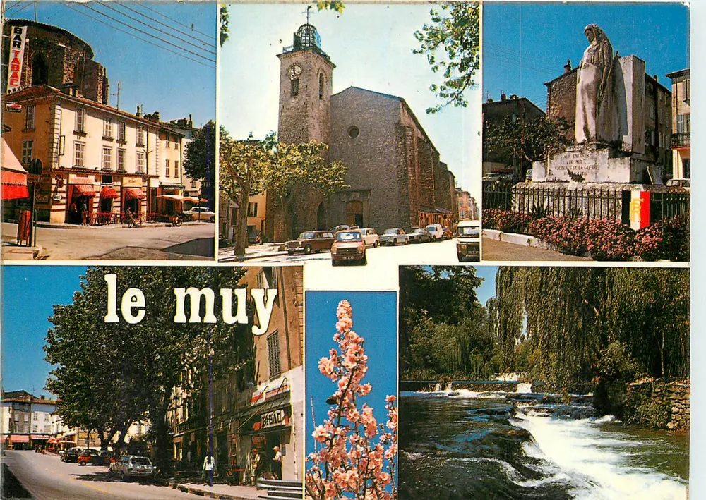 Le Muy — Panoramablick — Les Éditions Bandal, Nr. C 566 - Vorderseite