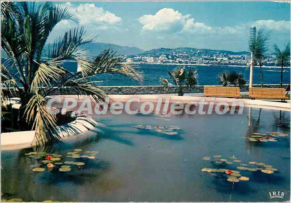 Der neue Garten — im Hintergrund die Croisette — Cannes — Éditions IRIS, n° 383 - Vorderseite