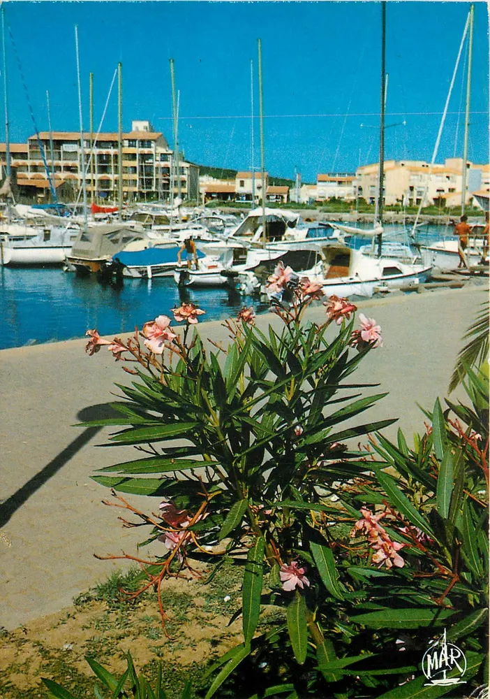 Port de plaisance — vue avec oléastre en premier plan — éditeur MAR - Frente