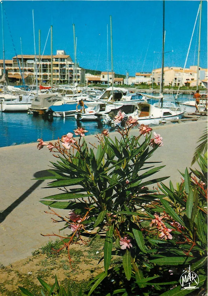 Port de plaisance — vue avec oléasters en premier plan — Éditions « MAR » - Frente