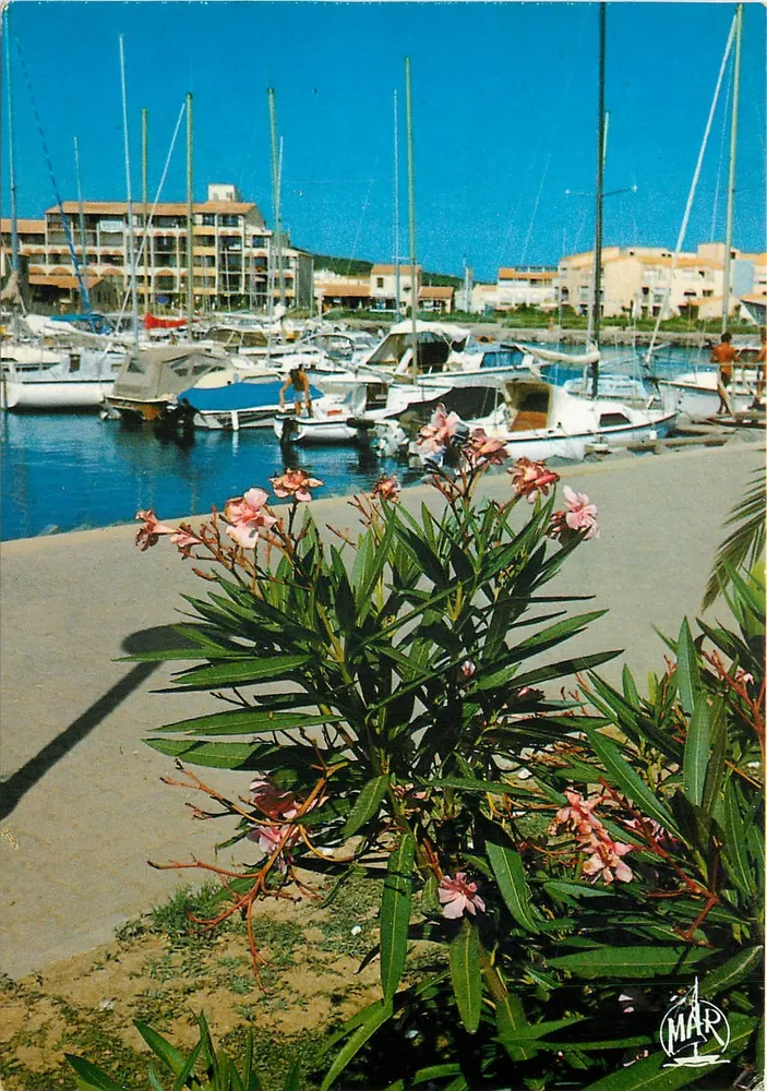 Port de plaisance — vue avec oléasters en premier plan — Éditions « MAR » - Frente