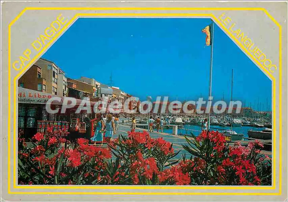 Cap d'Agde — vue du port avec bateaux et fleurs rouges — éditeur Les Editions «MAR» - Frente