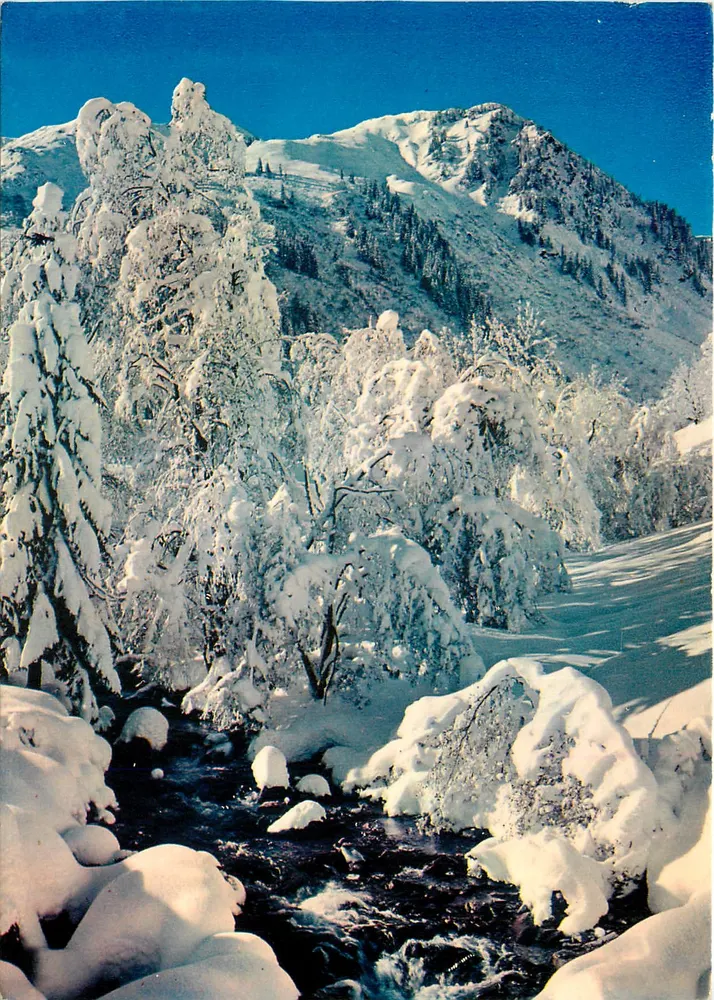 Montanhas nevadas — Fadação invernal — Combitet Imprimeur Mâcon - Frente