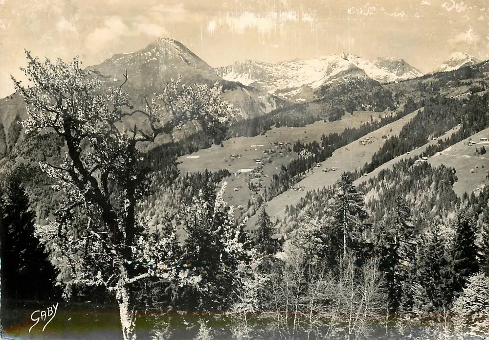 Ansicht der Alpen-Maritimen — Pointe de Nantuaux (12176 m.) — Edition Gaby - Vorderseite