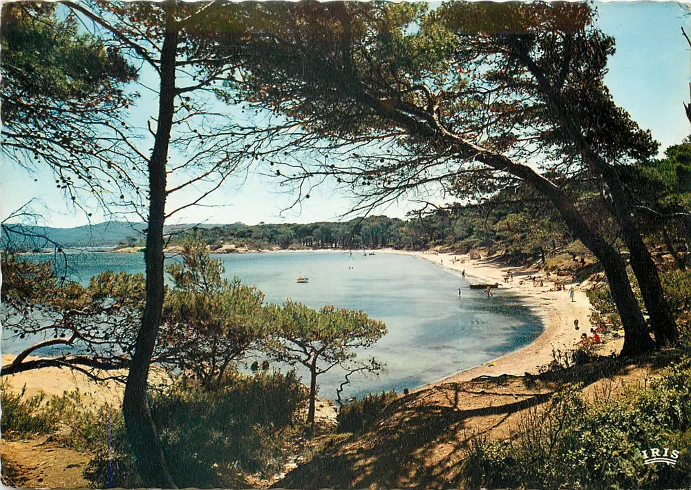 La Plage d'Argent — Ile de Porquerolles (Var) — Éditions 'Iris' - Recto