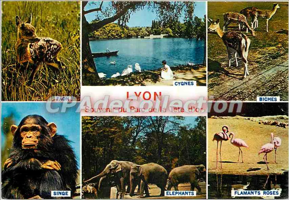 Lyon — Vista do Parque da Cabeça de Ouro — Edições TROUILLER & Fils - Frente