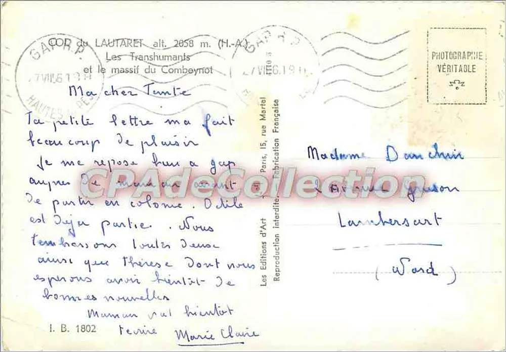 Die Transhumanten und der Combeynot-Massiv — Vintage Postcard/Antike Ansichtskarte — Lion - Rückseite