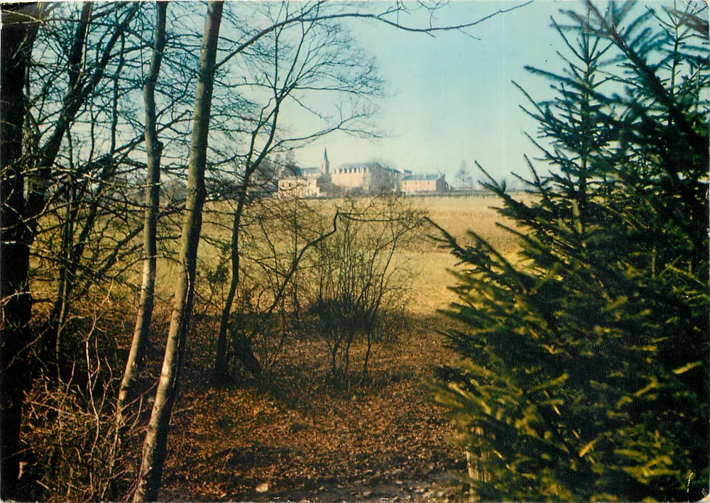 Castelo da Realidade d'Ardenne — Primavera dos Altos-Campos — (Ph. René Gravier) — n°299 - Frente