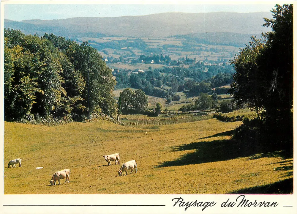 Paisagem do Morvan — vista de prado com vacas — edições Nivernaises - Frente