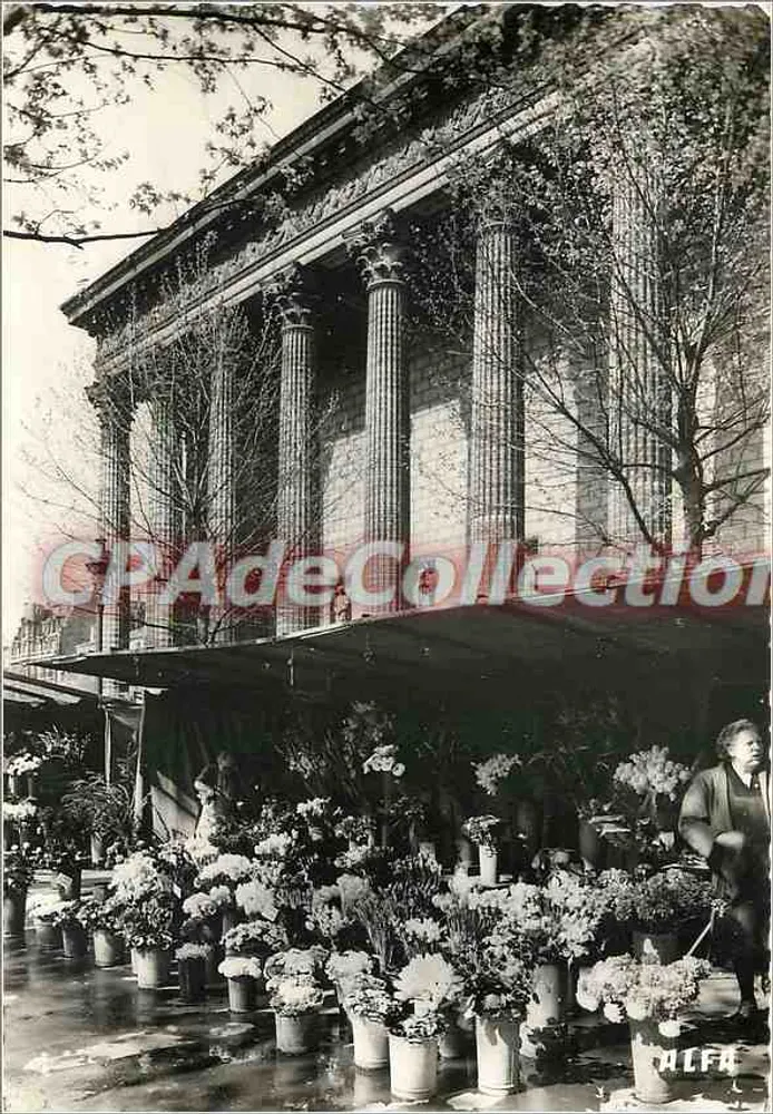 Blumenmarkt, Place de la Madeleine — Paris — Verlag ALFRA, n° 569 - Vorderseite