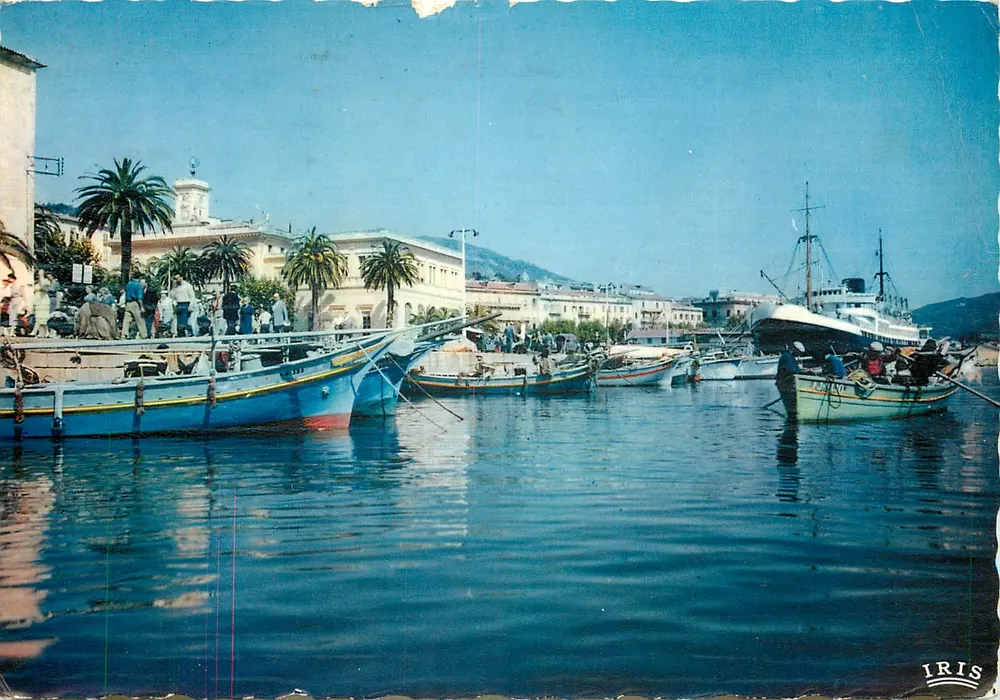 Porto de pesca de Ajaccio — vista do porto com barcos e palmeiras — editor IRIS - Frente
