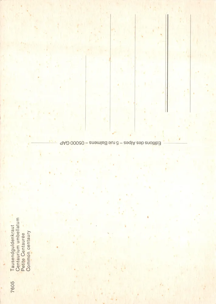 Violette Centaurienblüten — Natürliche Szene — Editions des Alpes, n° 7605 - Rückseite