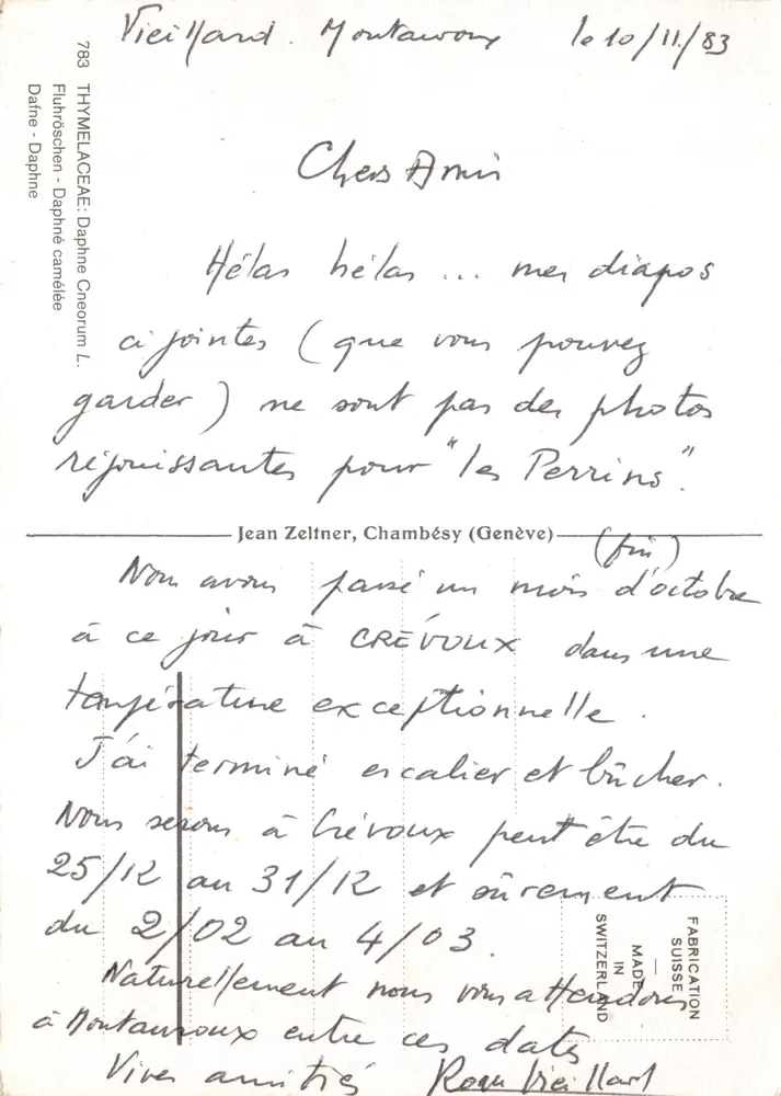 Daphne cneorum — fleurs roses dans un cadre végétal — FABRICATION SUISSE - Verso