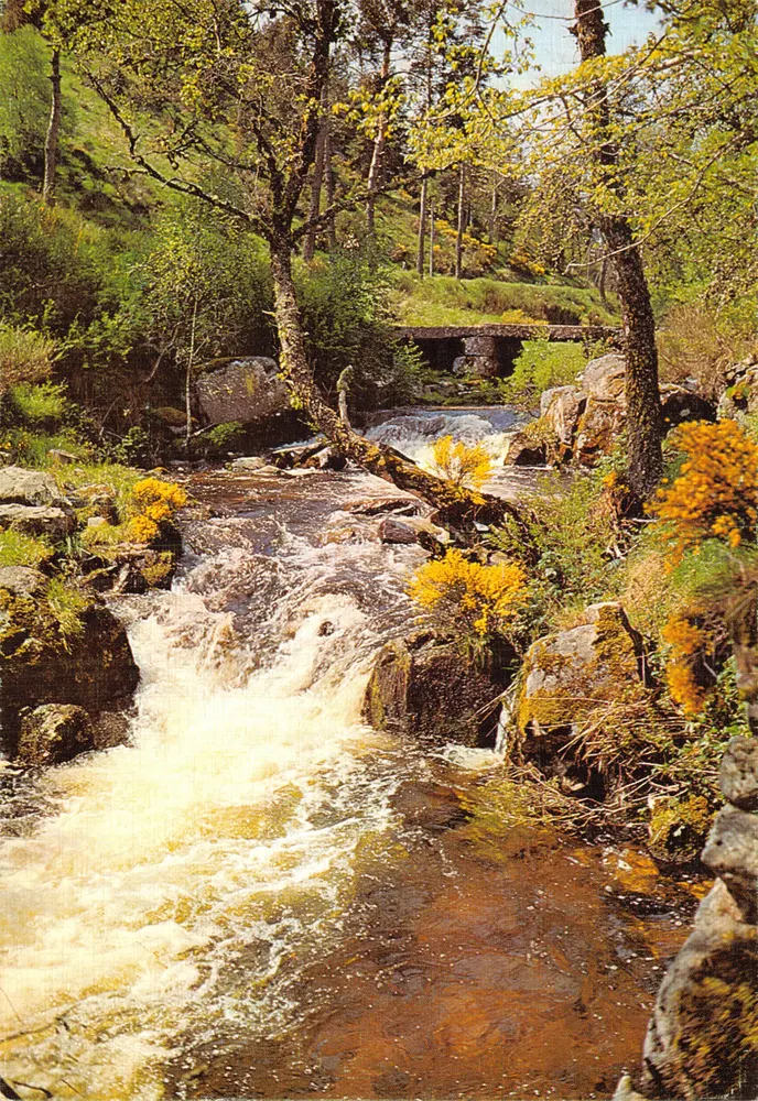 Bach mit Forellen — Ansicht einer Wasserfall und Steinbrücke — Luxusausgabe, Nr. 17 - Vorderseite