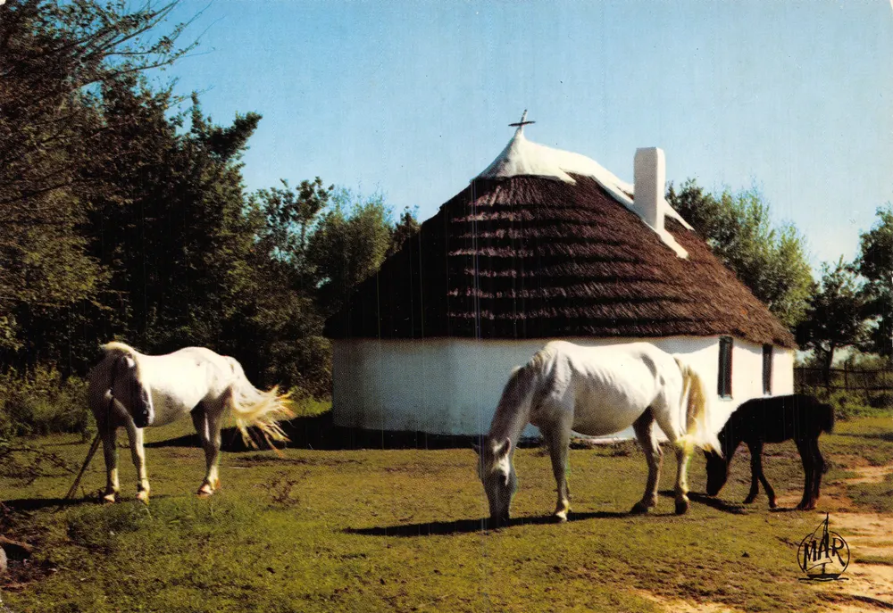Camargue — Cabana de Gardians — Les Éditions MAR - Frente
