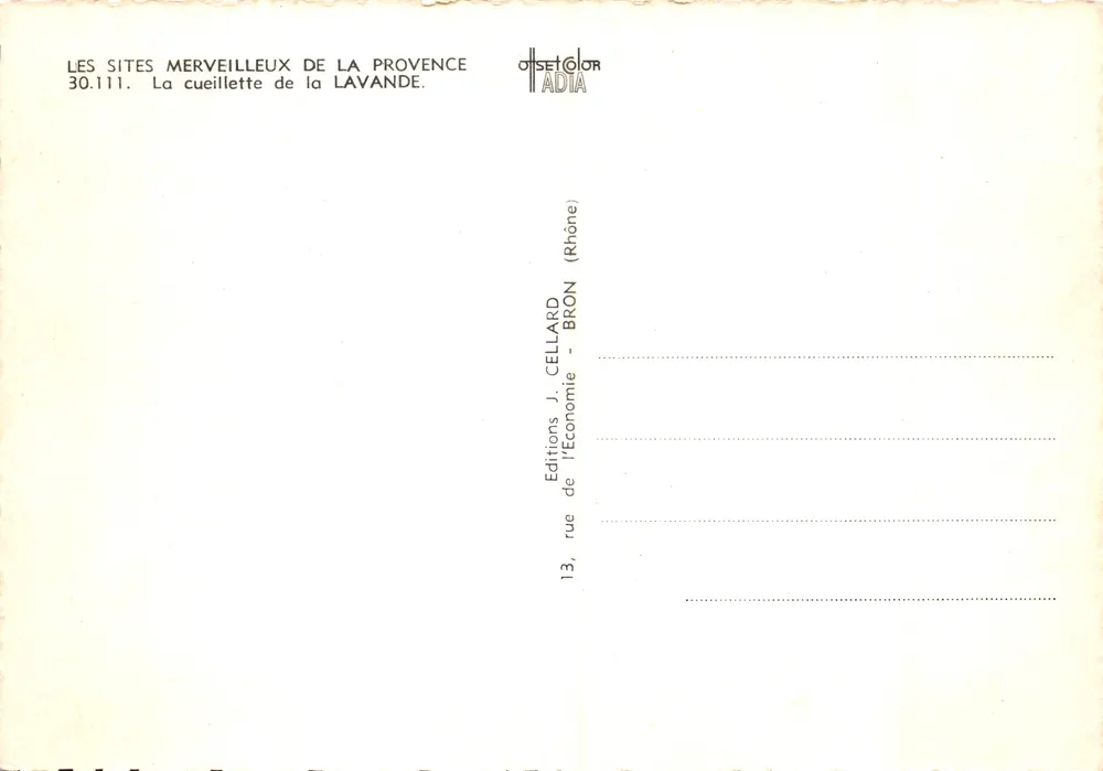 Cueillette de la lavande — Provence — Éditeur OSETCOLOR ADIA - Verso