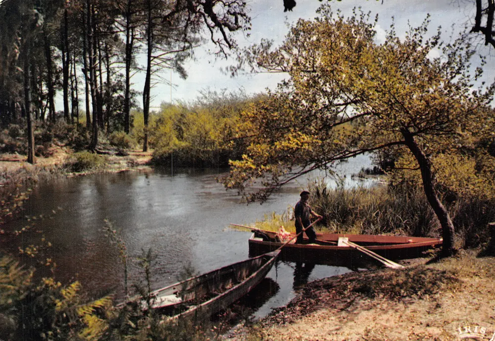 Courant des Landes — rivière aux nappes d'argent — Éditions Mexichrome - Recto
