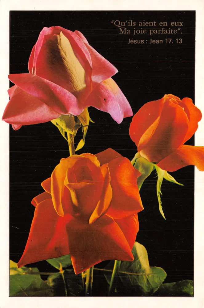 Roses — composition florale — ABEILLE CARTES - Ed. LYNA-PARIS n°2179/3 - Recto