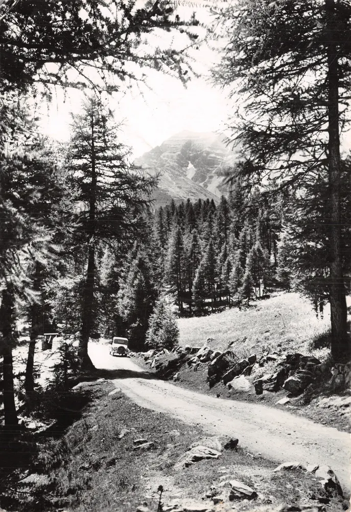 Der Col de Vars — Ansicht des Passes in einer Kiefernwiese mit Auto — Éditions A.D.I.A. NICE - Vorderseite