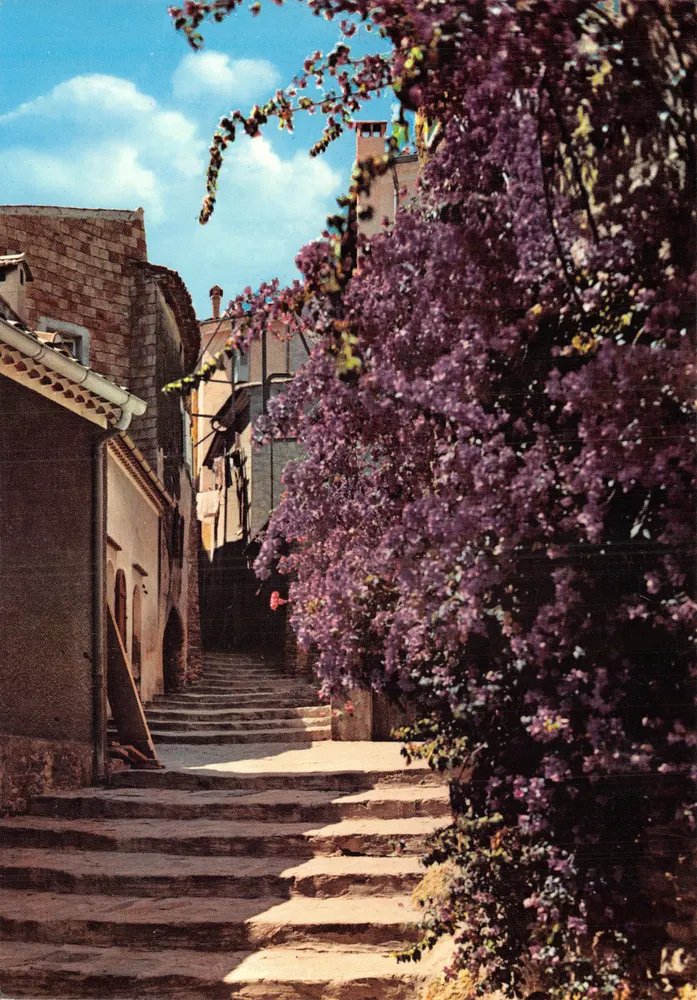 Blühende Treppe — Ansicht einer steinernen Treppe, gesäumt von violett blühenden Pflanzen — Éditions « AAB » - Vorderseite