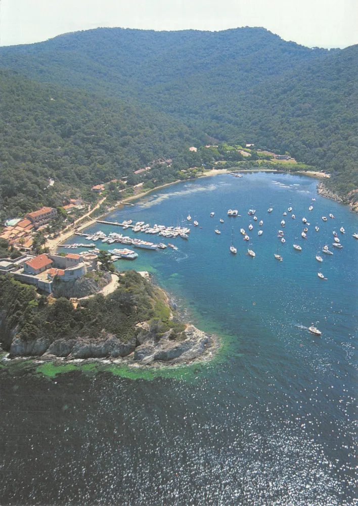 Insel Port-Cros — Hafen von Port-Cros — Editions Cartes Postales - Vorderseite