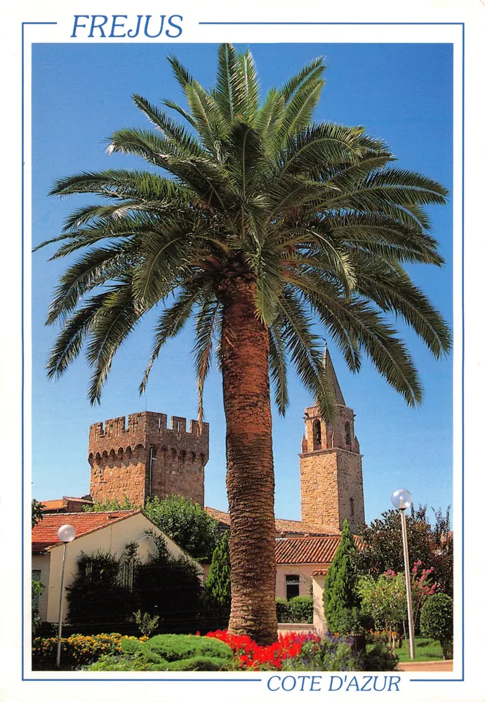 Fréjus — Ansicht mit Palme und historischem Gebäude — Éditions Florian Mistral - Vorderseite