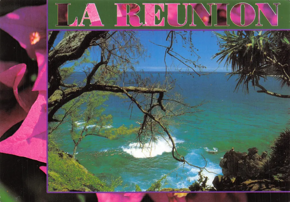 La Réunion — vue côtière avec vagues et branches — Éditions Clin d'Œil, RE 109 - Recto
