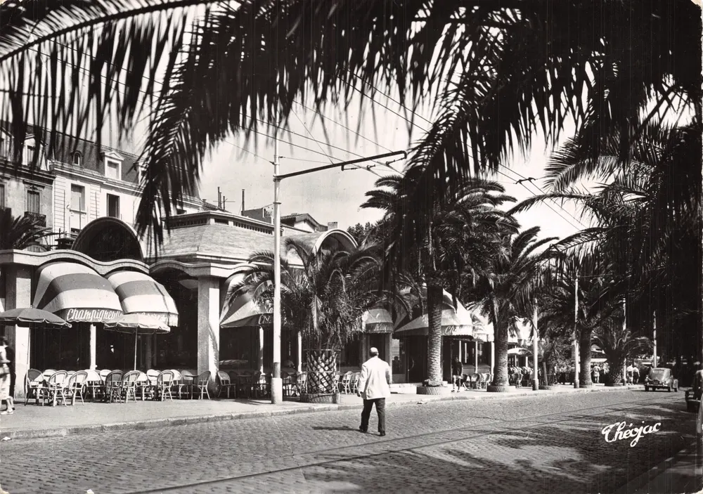 Café Champignond — terrasse ombragée par des palmiers — éditeur Checjac - Recto