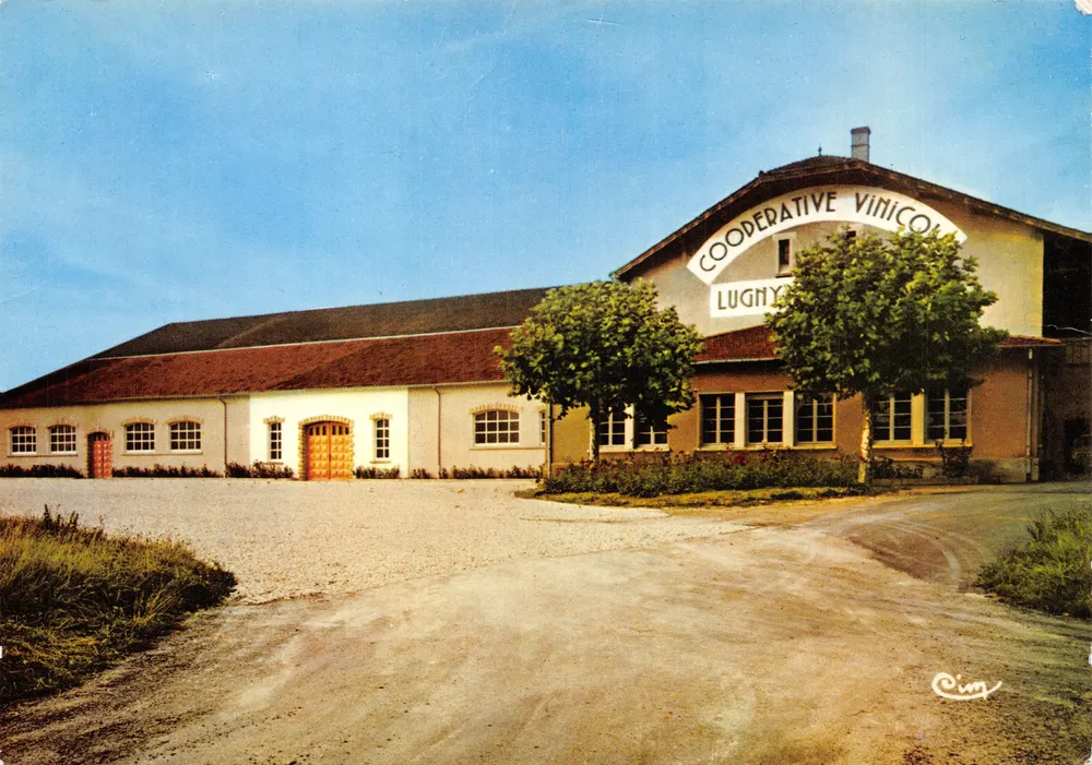 Lugny — Cooperative Vinicole — éditeur CIM - आगे