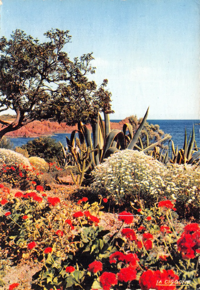 Jardin côtier — vue de La Cigogne — éditeur LA CIGOGNE - Recto