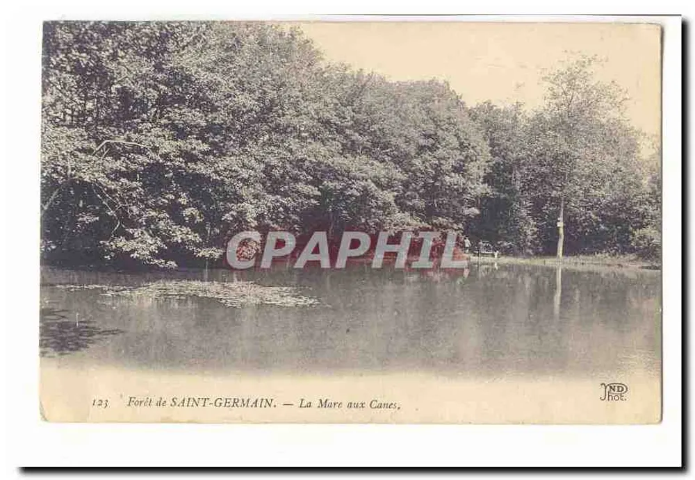 Floresta de SAINT-GERMAIN — Lago das Canes — ND Phot. - Frente
